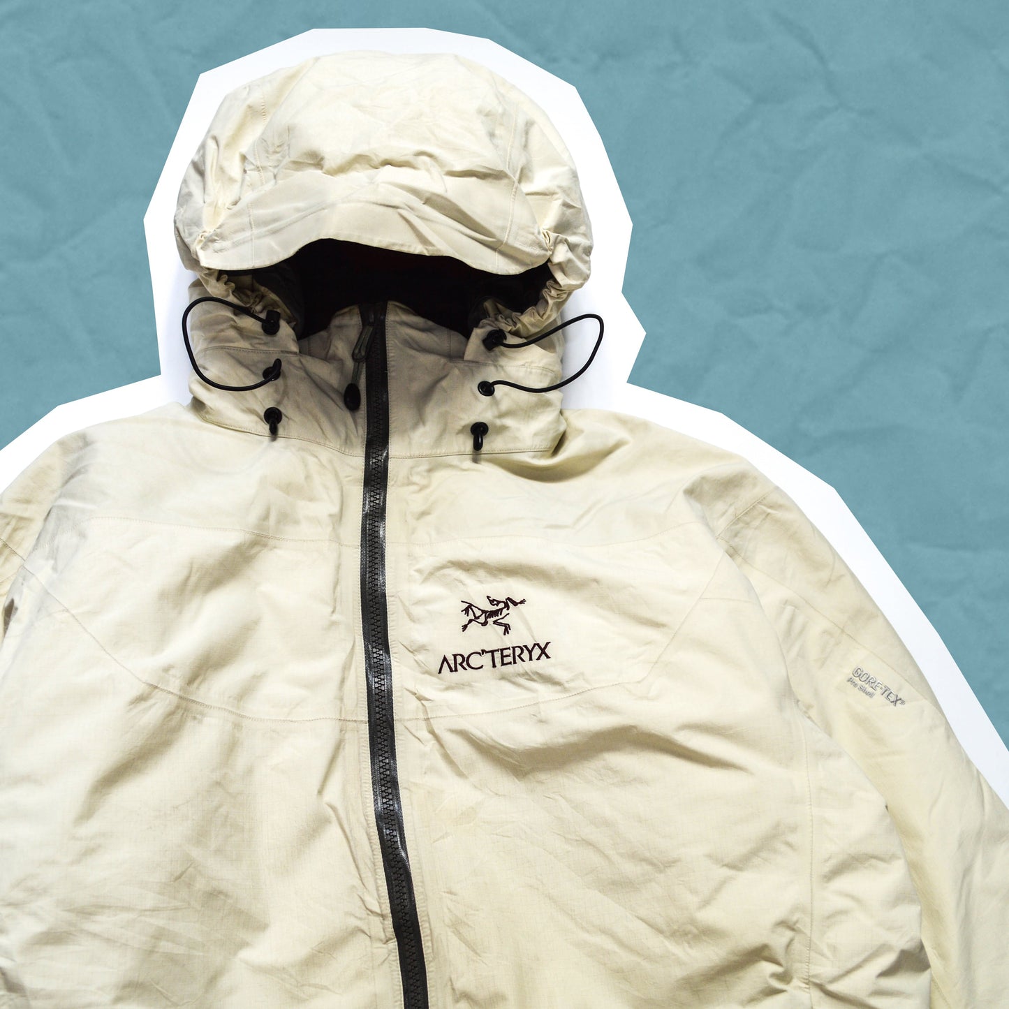 Arc'teryx 2001 Basmati Fission SV Jacket (M~L)
