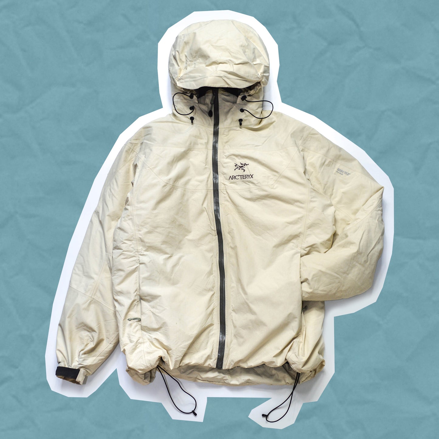 Arc'teryx 2001 Basmati Fission SV Jacket (M~L)
