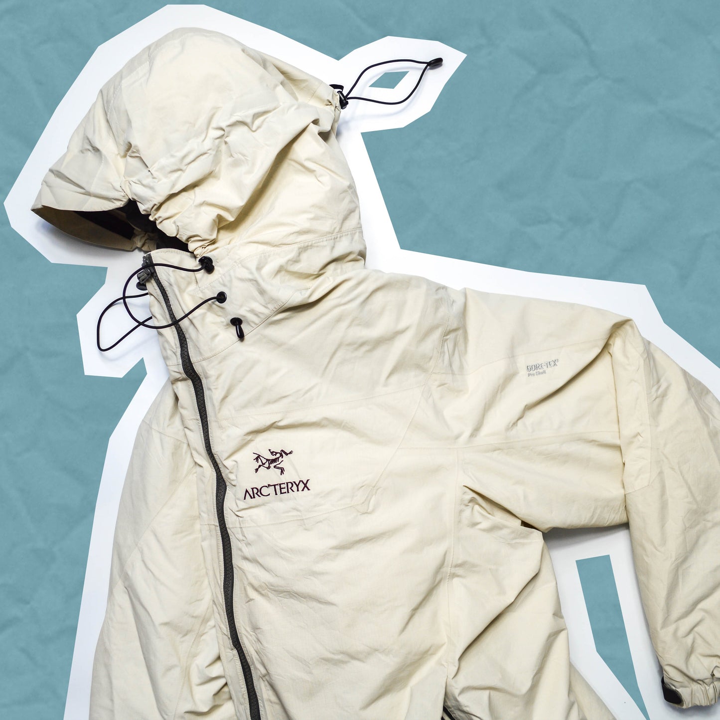Arc'teryx 2001 Basmati Fission SV Jacket (M~L)