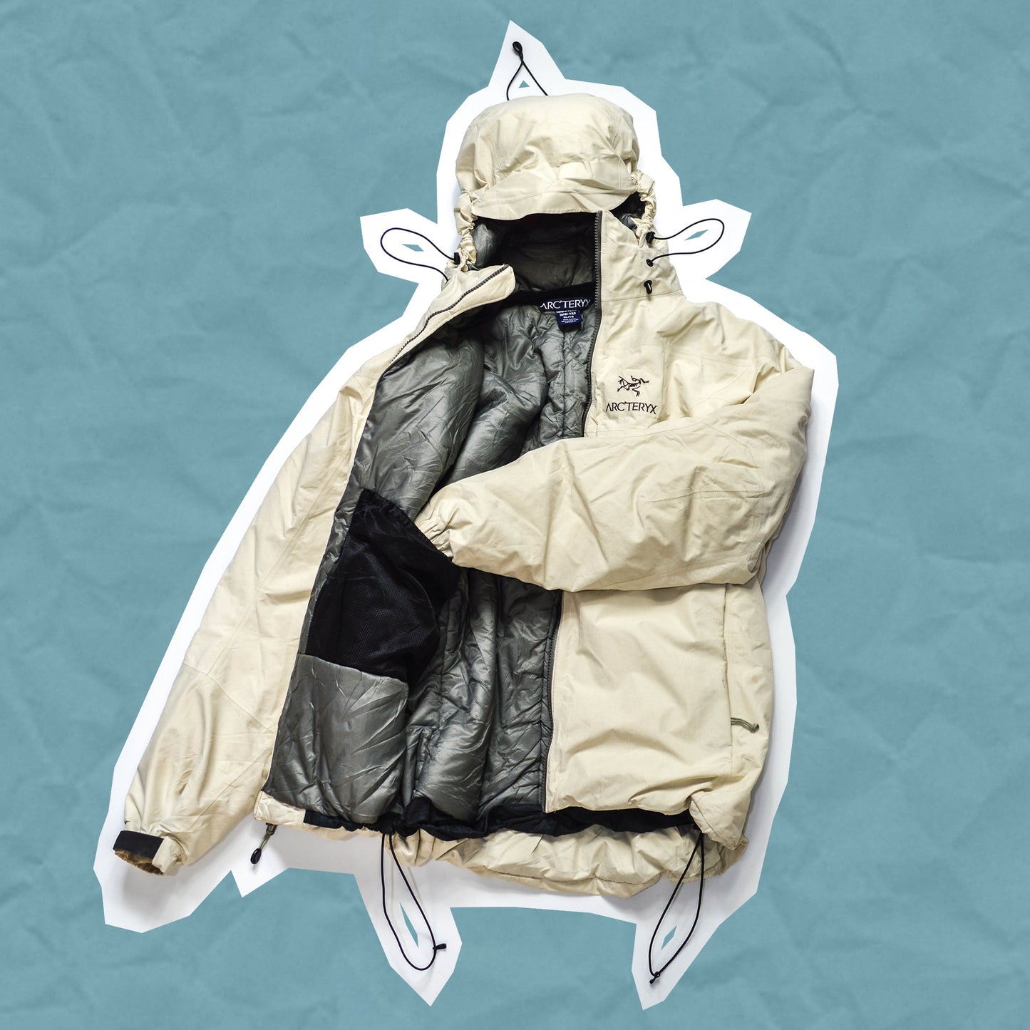 Arc'teryx 2001 Basmati Fission SV Jacket (M~L)
